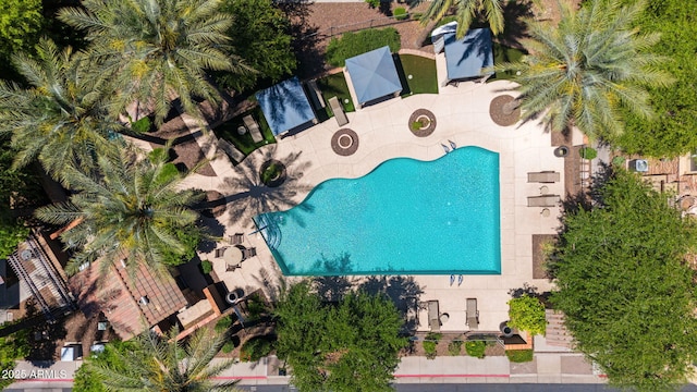 drone / aerial view
