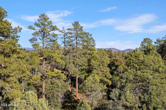 property view of mountains