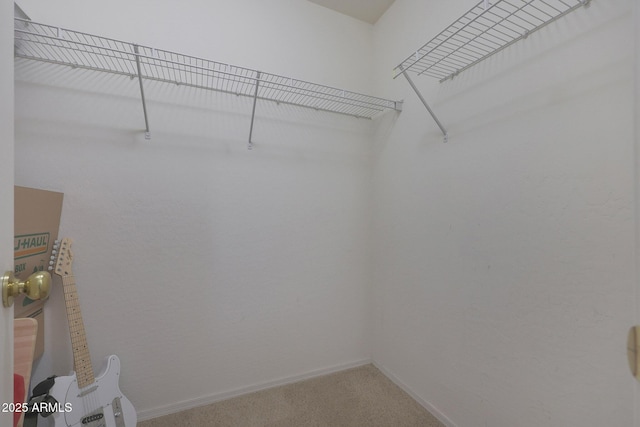 spacious closet featuring carpet floors