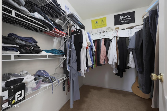 walk in closet with carpet