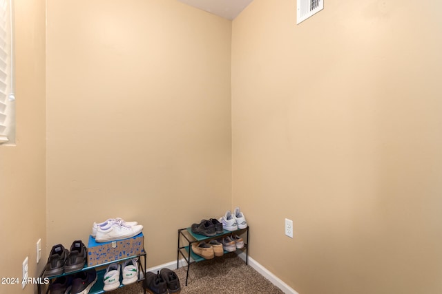 interior space featuring carpet flooring