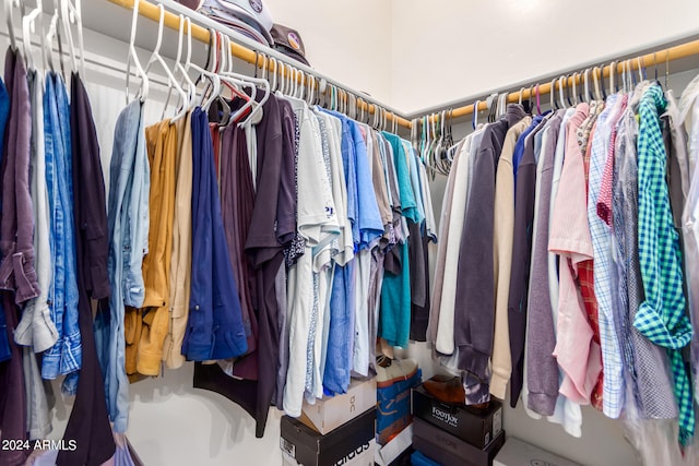 view of walk in closet