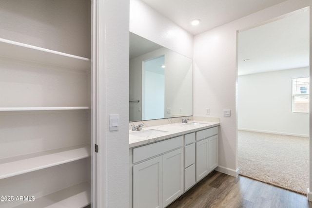 bathroom with vanity and wood-type flooring