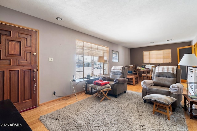 living room with light hardwood / wood-style floors