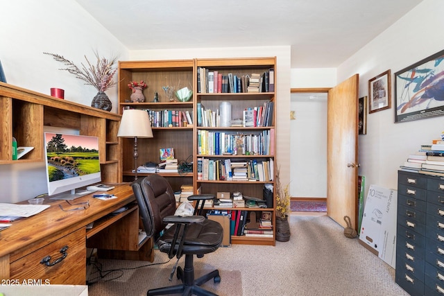 office featuring carpet floors