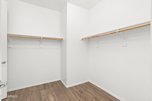 spacious closet featuring hardwood / wood-style flooring