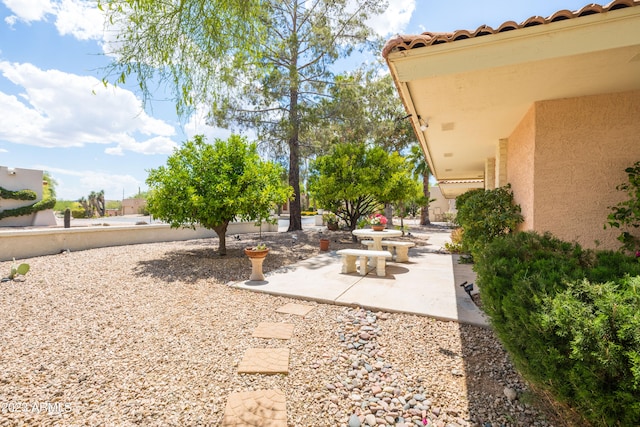 view of yard with a patio