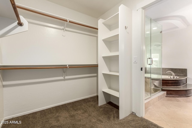 3772 E Leah Ln, Gilbert, AZ 85234 - spacious closet with carpet floors