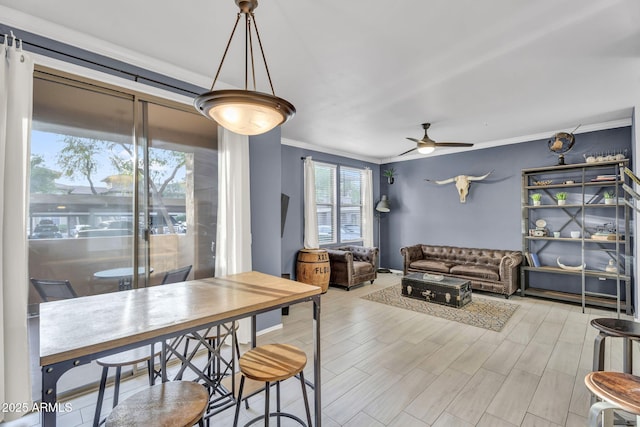 dining space featuring crown molding, ceiling fan, and light wood-type flooring