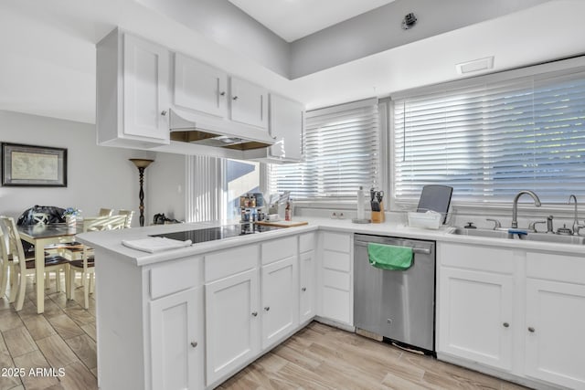 kitchen featuring sink, white cabinets, stainless steel dishwasher, and custom range hood