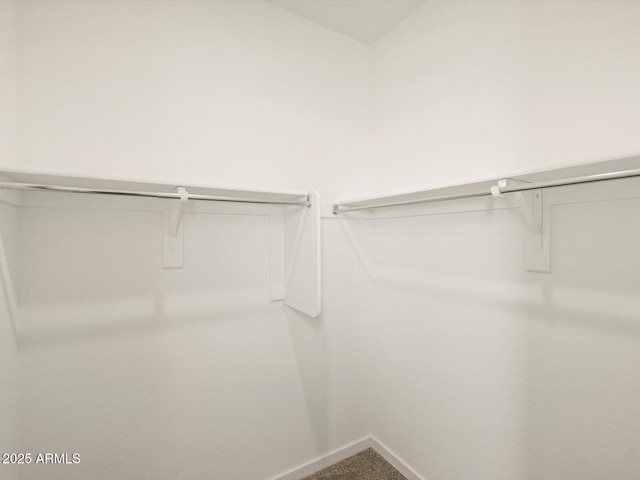 spacious closet with carpet flooring