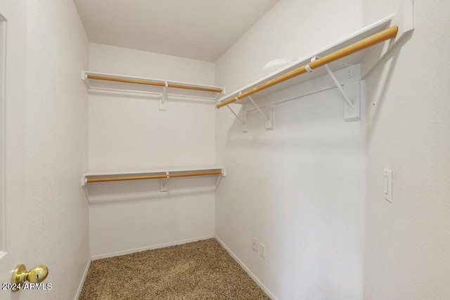 spacious closet with carpet flooring