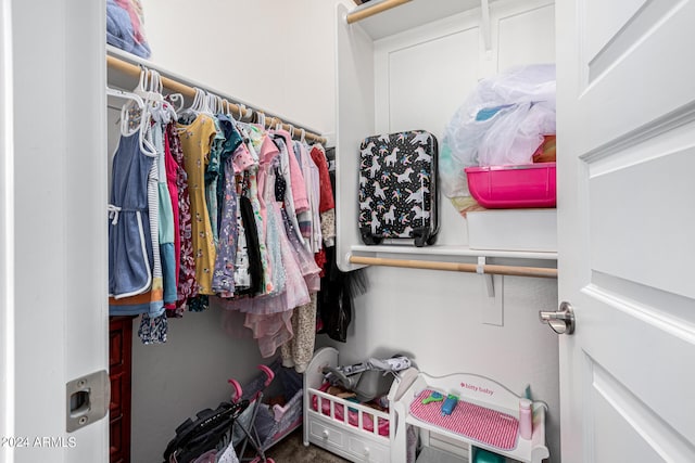 view of walk in closet