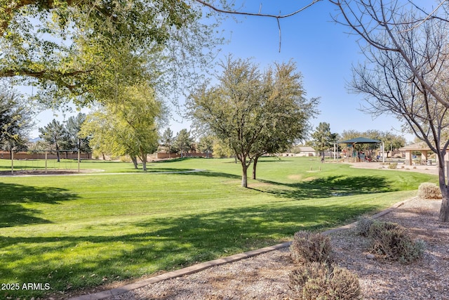 view of property's community with a yard