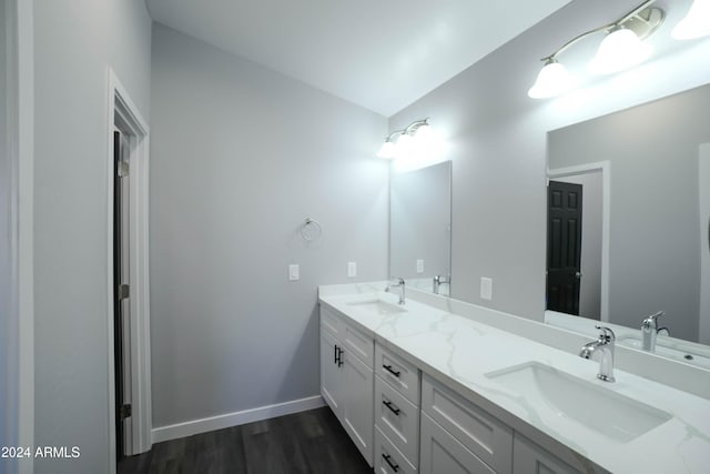 bathroom with wood-type flooring and vanity