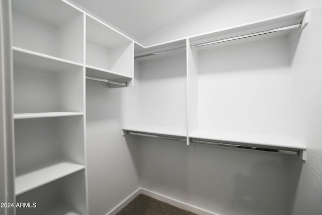 spacious closet featuring carpet flooring