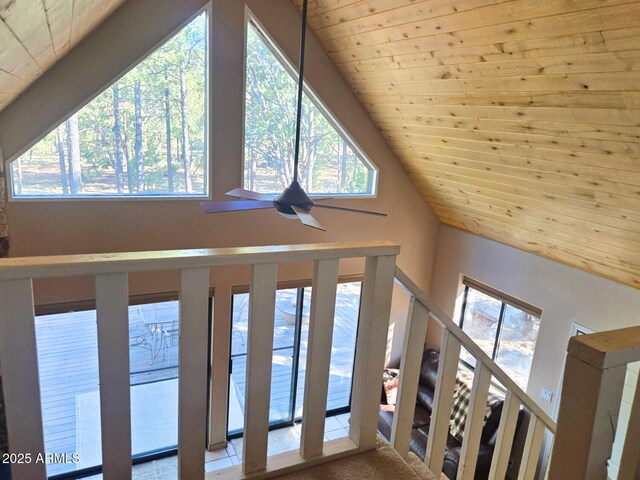 2028 Jones Pass, Overgaard, AZ 85933 - detailed view of wood ceiling