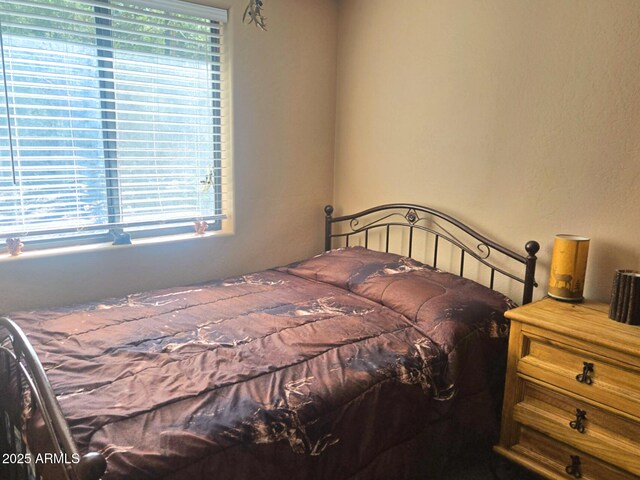2028 Jones Pass, Overgaard, AZ 85933 - view of bedroom