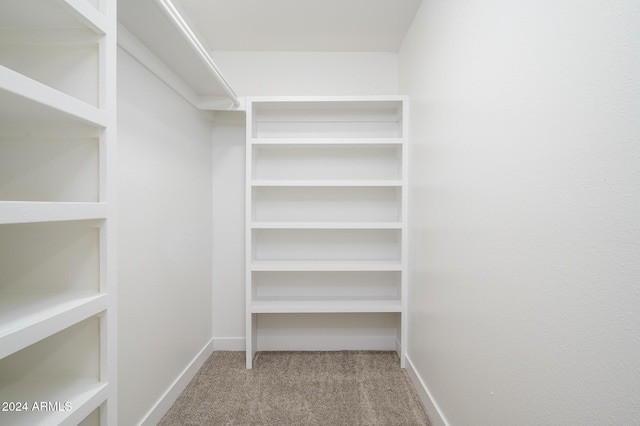 spacious closet featuring light colored carpet