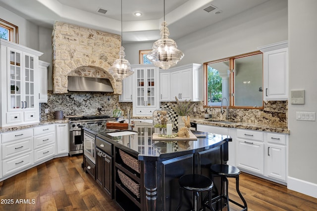 2527 E Beechnut Ct, Chandler, AZ 85249 - kitchen featuring a sink, stainless steel gas range oven, a tray ceiling, a chandelier, and recessed lighting
