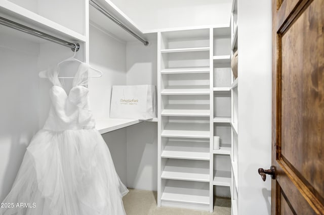 2527 E Beechnut Ct, Chandler, AZ 85249 - spacious closet with light carpet