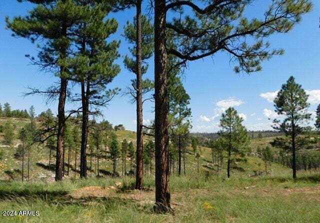 4675 Lookout Point Rd Unit 117, Happy Jack, AZ 86024
