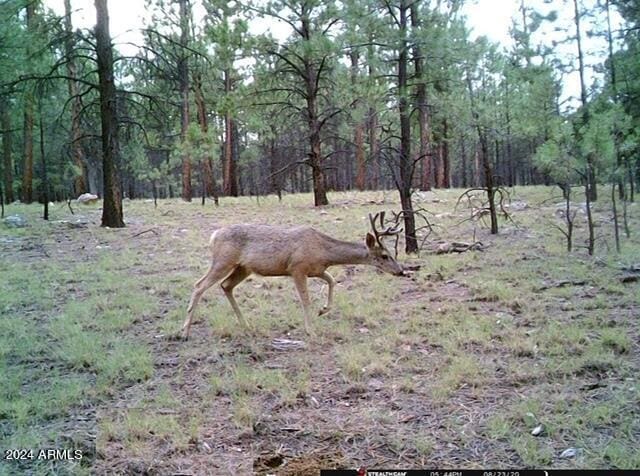 4675 Lookout Point Rd Unit 117, Happy Jack, AZ 86024