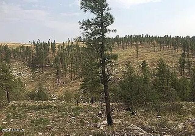 4675 Lookout Point Rd Unit 117, Happy Jack, AZ 86024