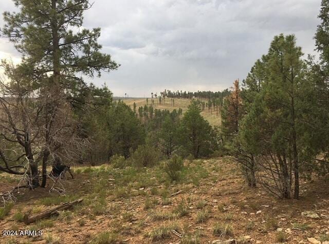 4675 Lookout Point Rd Unit 117, Happy Jack, AZ 86024
