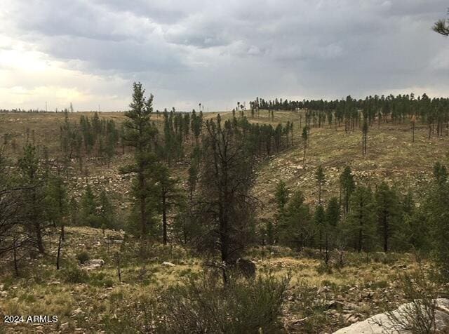 4675 Lookout Point Rd Unit 117, Happy Jack, AZ 86024