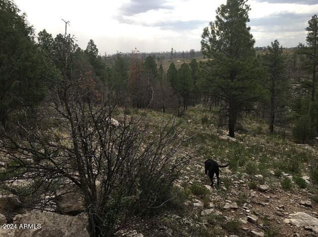 4675 Lookout Point Rd Unit 117, Happy Jack, AZ 86024
