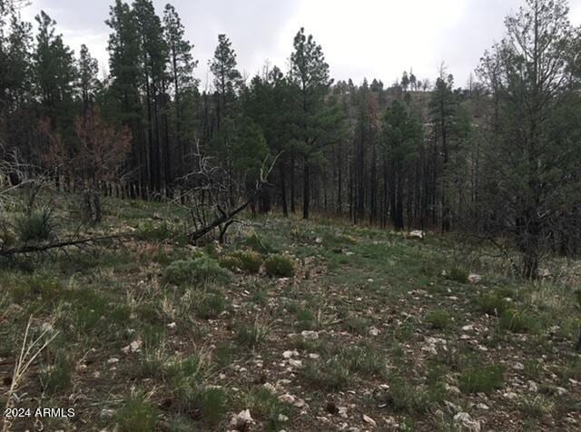 4675 Lookout Point Rd Unit 117, Happy Jack, AZ 86024