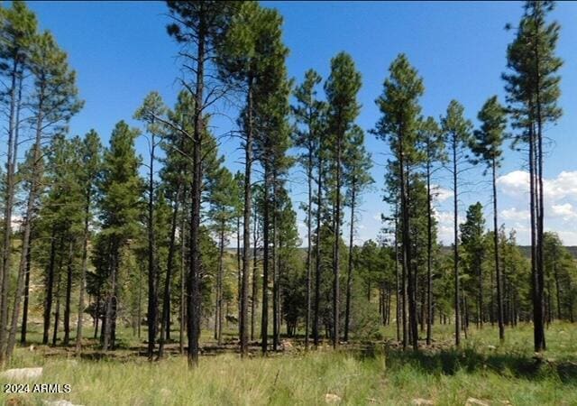 4675 Lookout Point Rd Unit 117, Happy Jack, AZ 86024