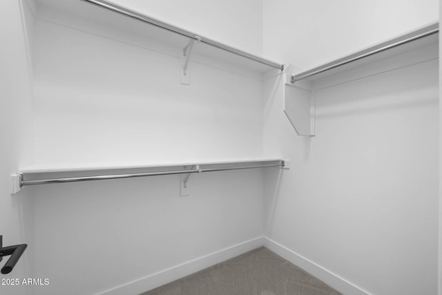 walk in closet with carpet