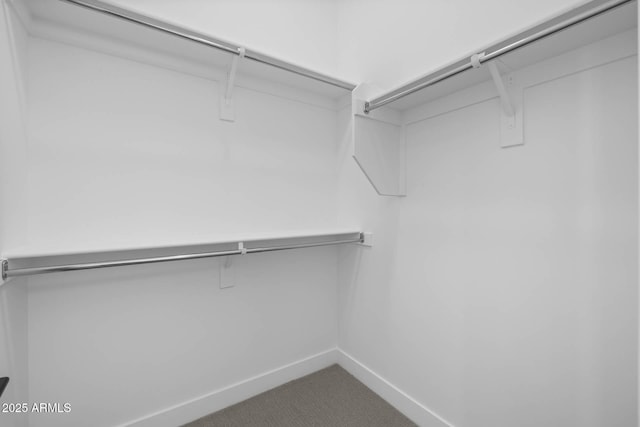 spacious closet featuring dark colored carpet