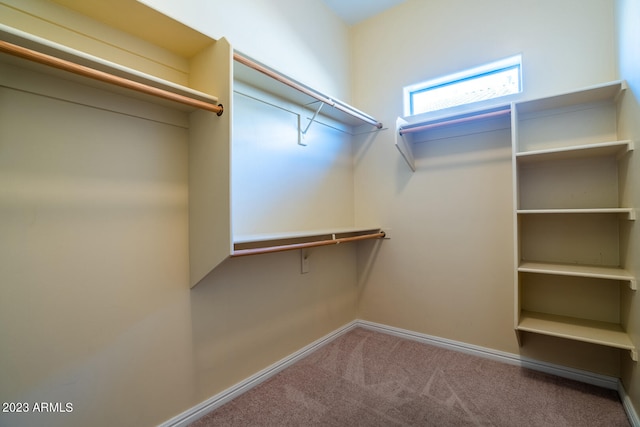 spacious closet with carpet