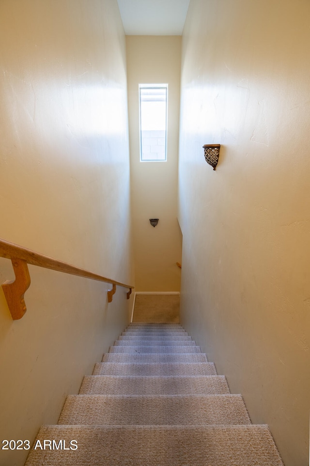 staircase with carpet floors