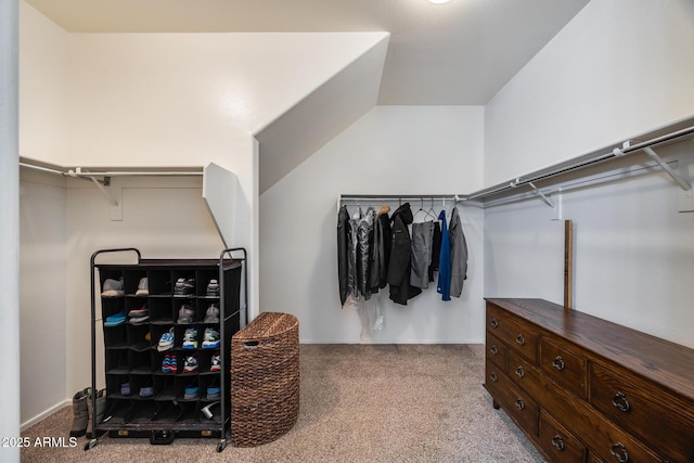 spacious closet featuring light carpet