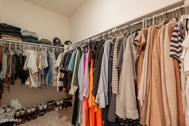 948 E Wiley Way, Casa Grande, AZ 85122 - walk in closet featuring carpet flooring