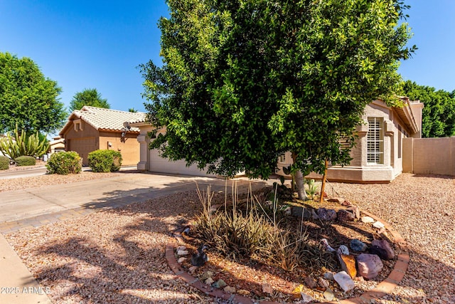 1379 E Butler Cir, Chandler, AZ 85225 - view of property hidden behind natural elements with stucco siding, concrete driveway, an attached garage, and a tile roof