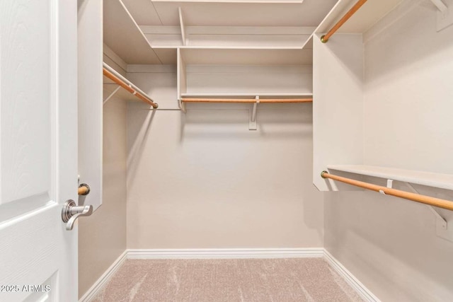 walk in closet featuring carpet