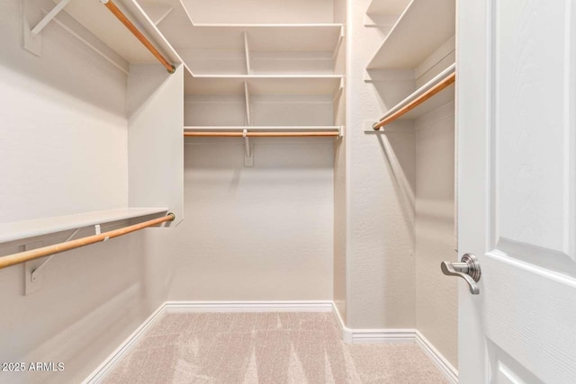 walk in closet with carpet flooring