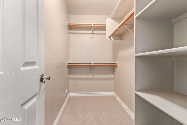 spacious closet with carpet