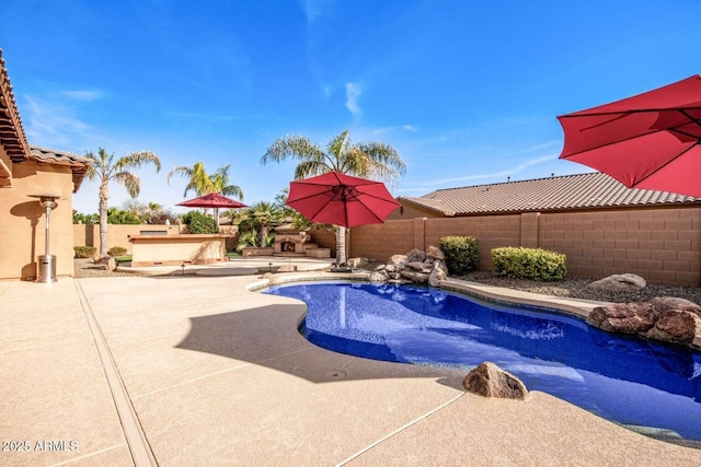 view of pool with a patio