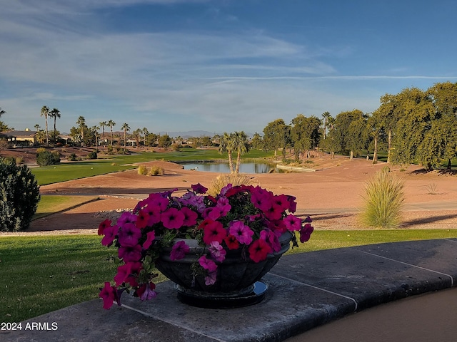 view of community featuring a yard and a water view