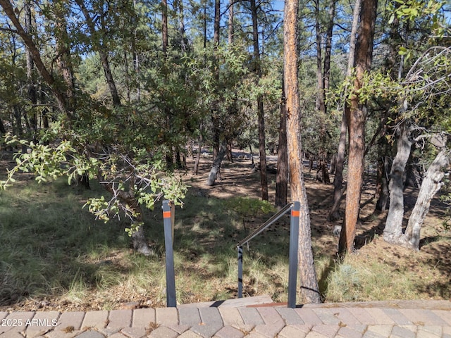 5130 Juniper Loop, Pine, AZ 85544 - view of yard