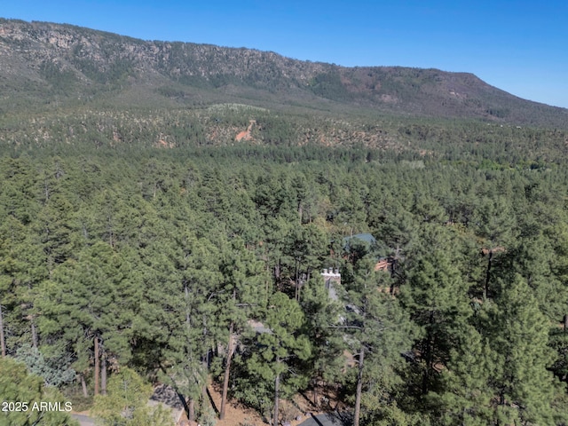 5130 Juniper Loop, Pine, AZ 85544 - view of mountain backdrop with a heavily wooded area