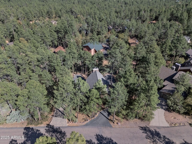 5130 Juniper Loop, Pine, AZ 85544 - view of property location featuring a heavily wooded area