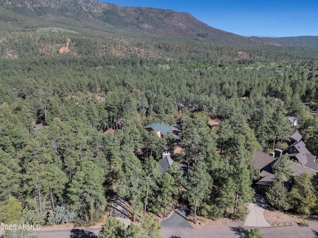 5130 Juniper Loop, Pine, AZ 85544 - aerial view of property's location featuring a forest and a mountain backdrop