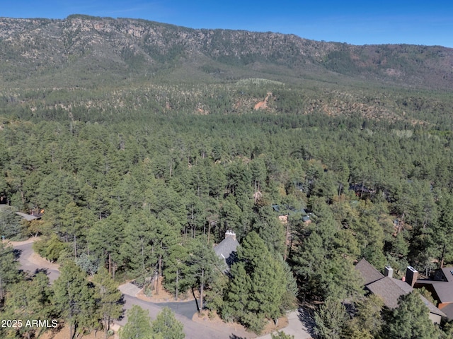 5130 Juniper Loop, Pine, AZ 85544 - view of mountain background with a heavily wooded area